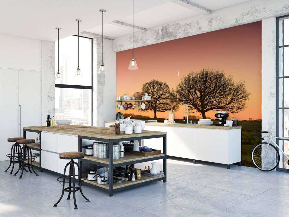 Księżyc między drzewami