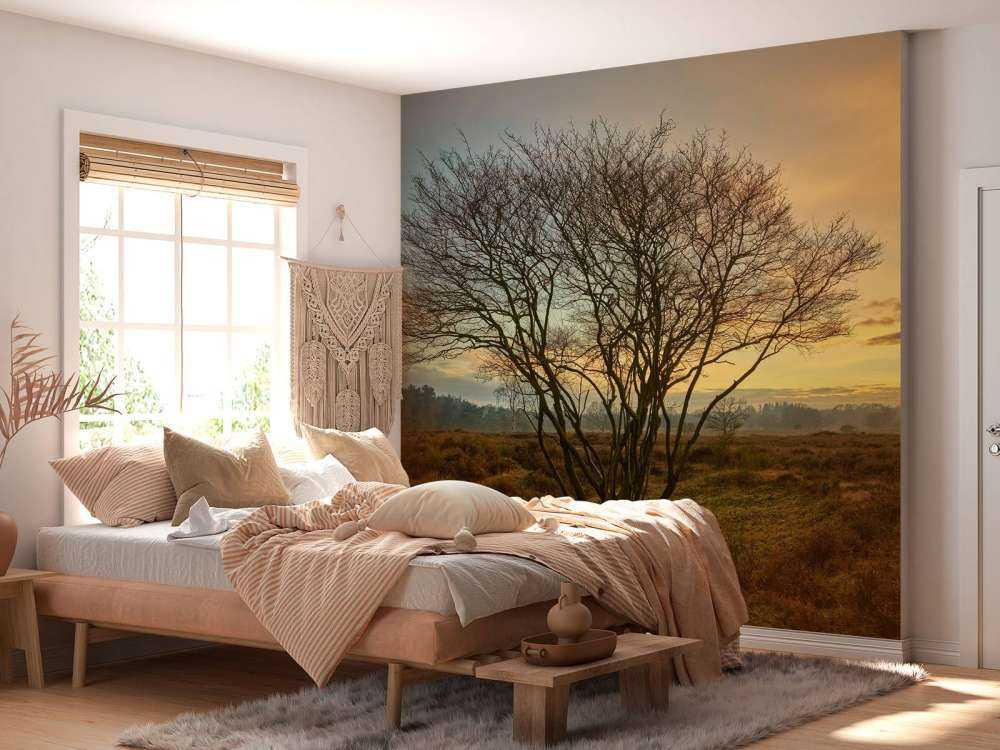 Wschód słońca na wrzosowisku