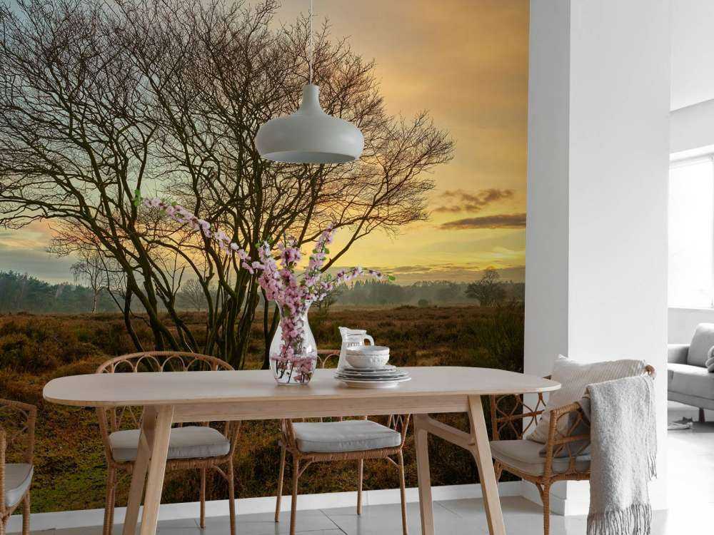 Wschód słońca na wrzosowisku