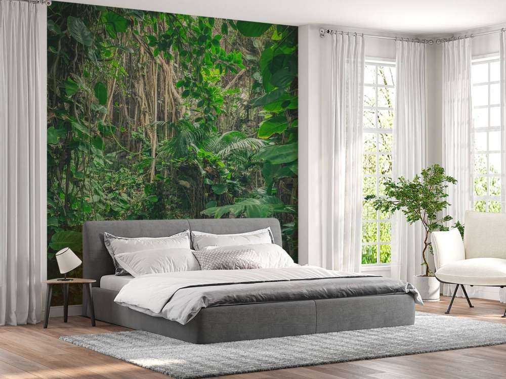 Gałęzie w lesie deszczowym