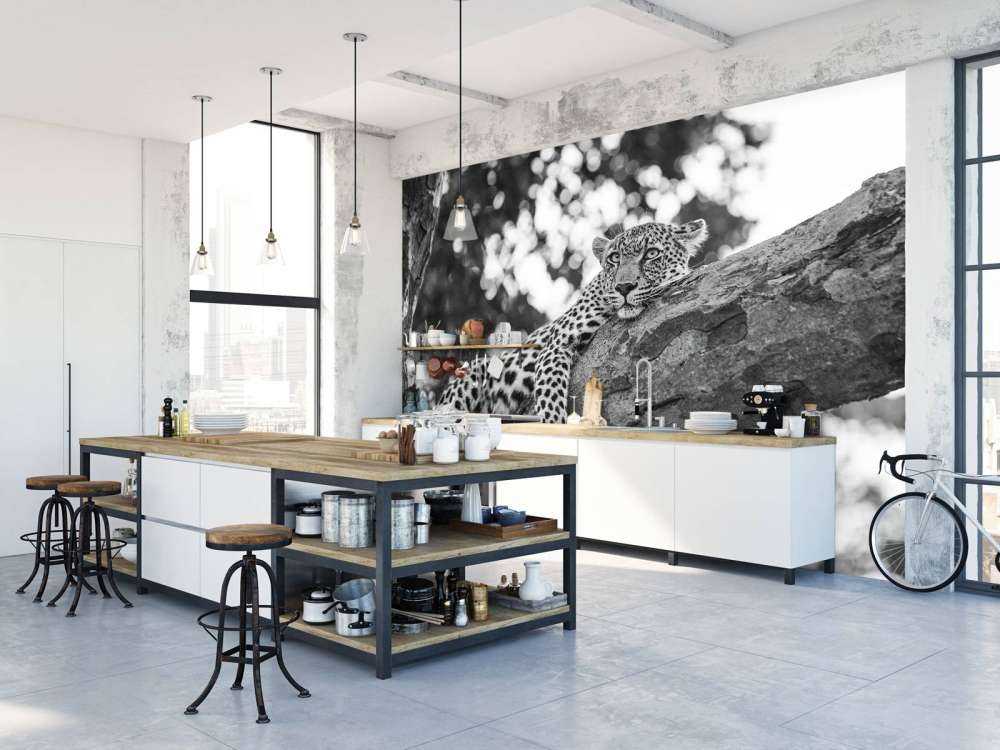 Odpoczywający lampart