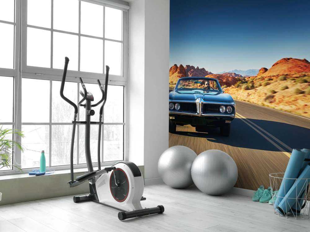 Samochód mięśniowy w amerykańskim krajobrazie