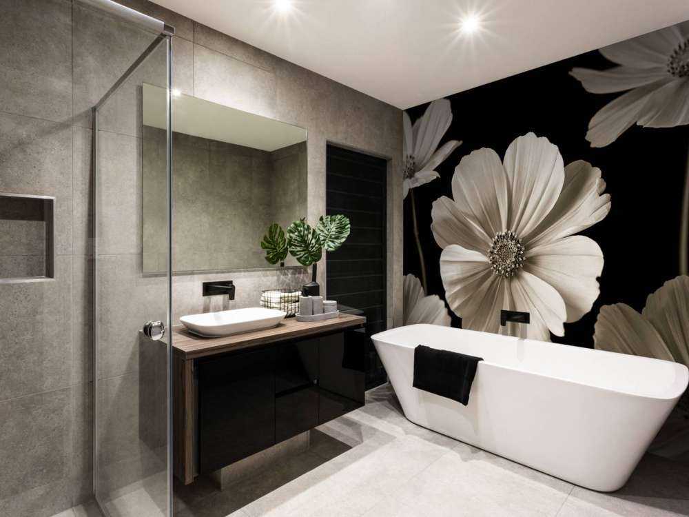 Kilka kwiatów Cosmos