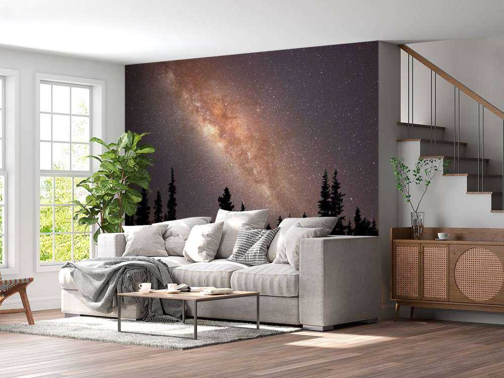 Droga Mleczna nad sylwetką drzew