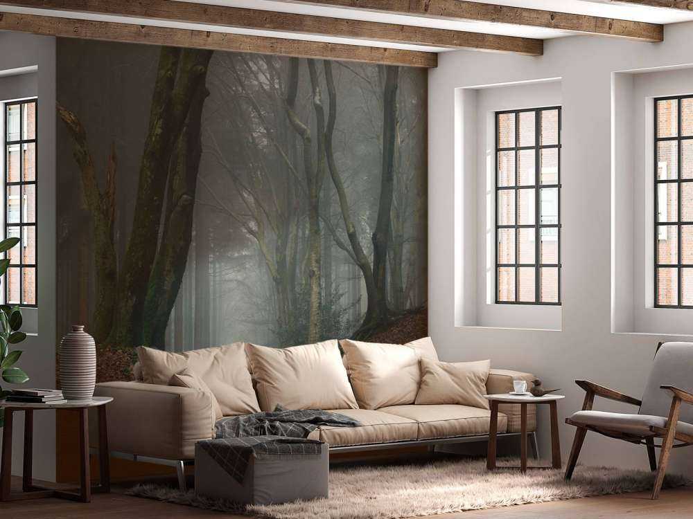 Ścieżka przez tajemniczy las