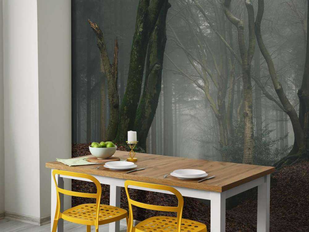 Ścieżka przez tajemniczy las