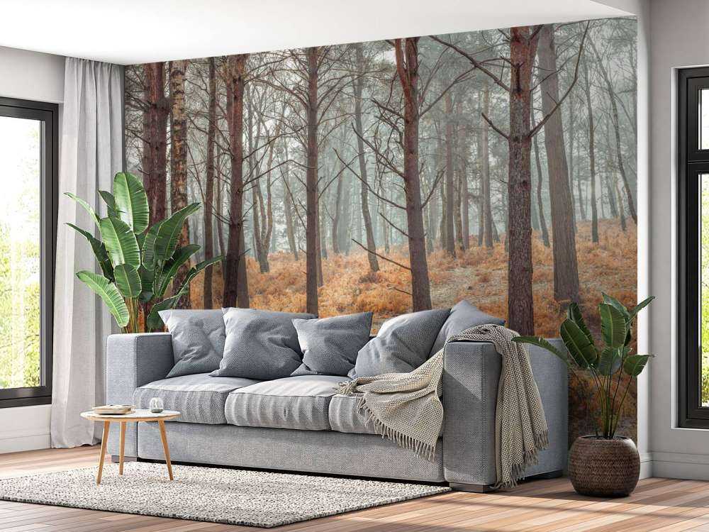 Las w okresie jesiennym