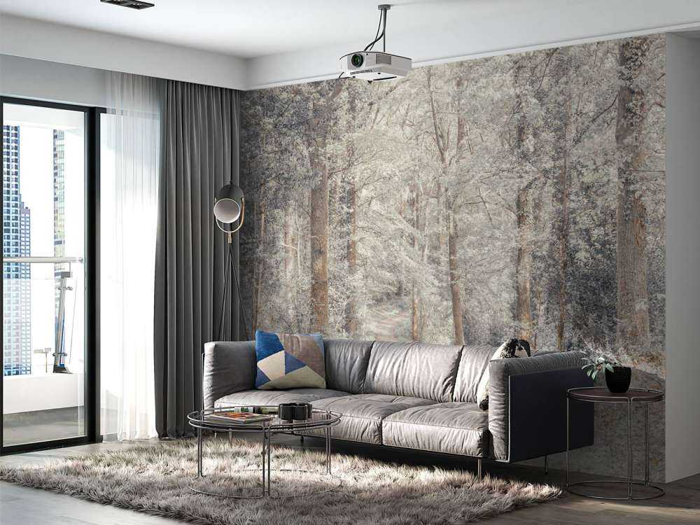 Ścieżka przez zielony las