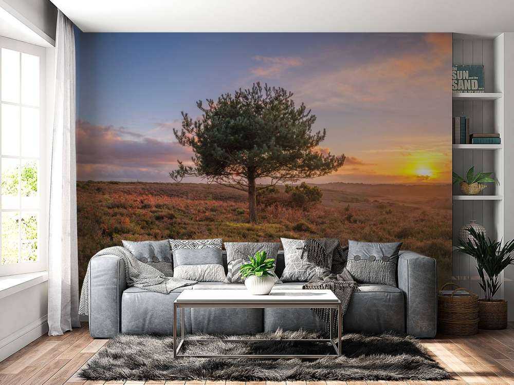 Zachód słońca w opuszczonej okolicy