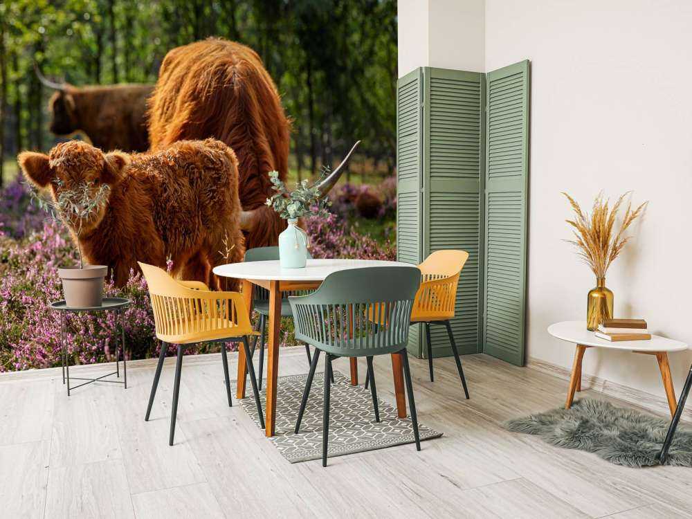 Rodzina szkockich wyżynnów