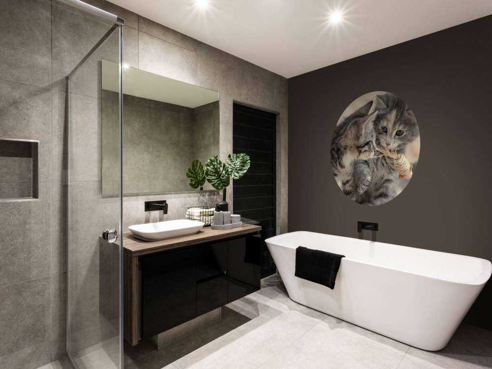 Bawiące się kocięta