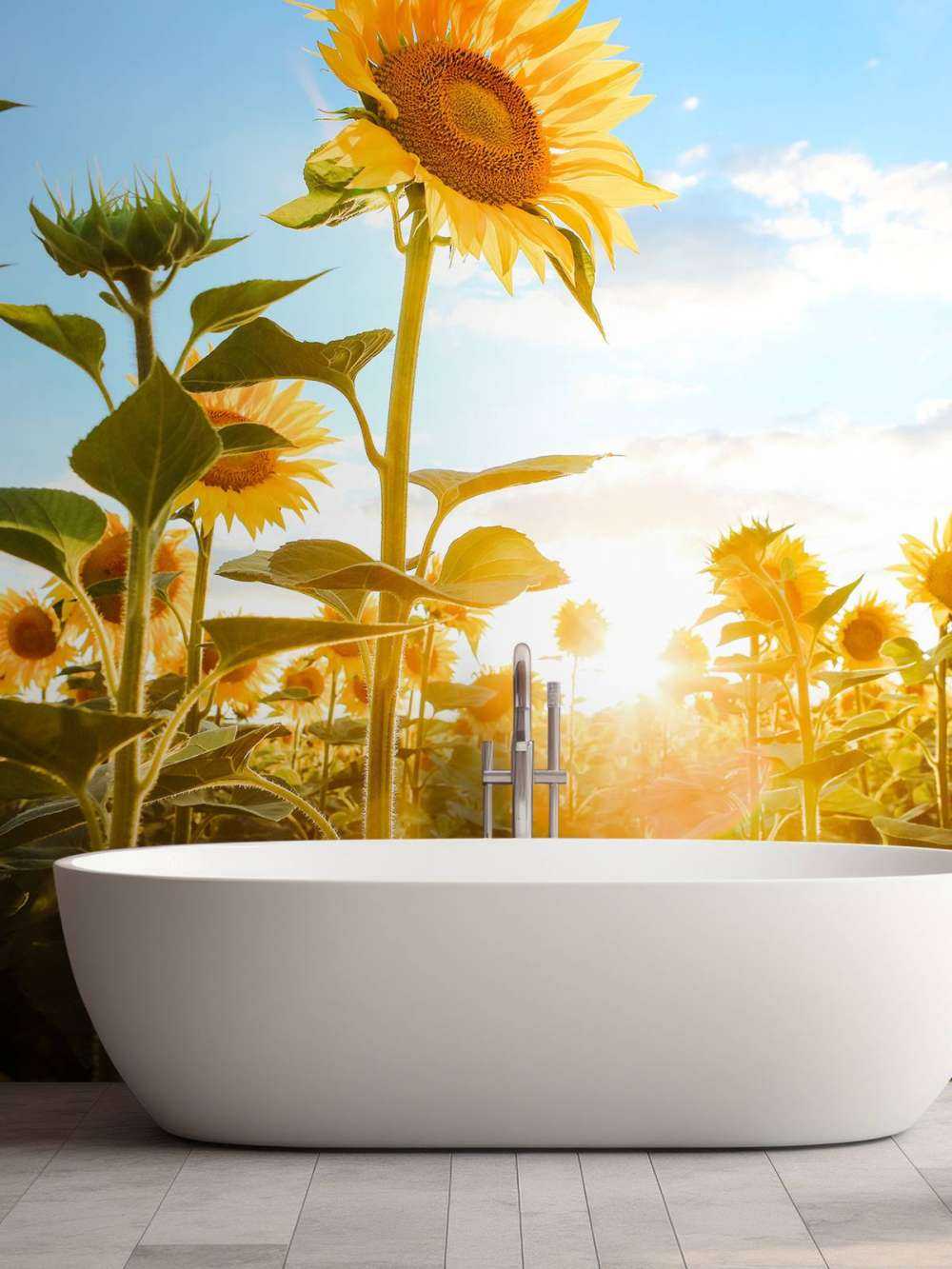 Słonecznik z błękitem nieba