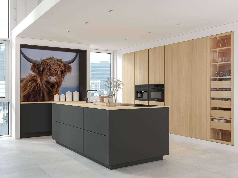 Szkocki wyżyn w roli głównej