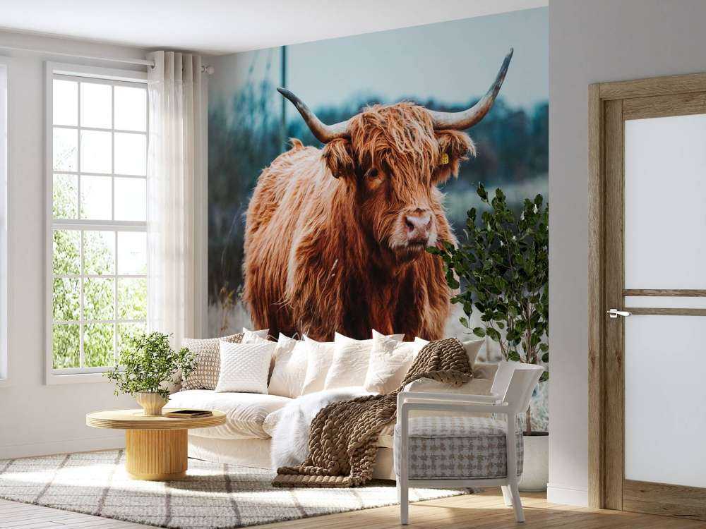 Szkocki wyżyn w lesie