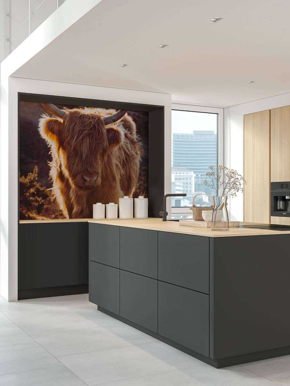 Szkocki wyżyn w słońcu