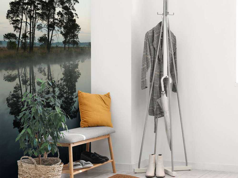 Drzewa wzdłuż lasów