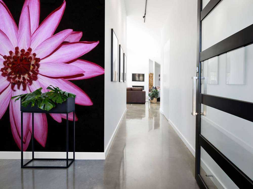 Kwiat lotosu z góry