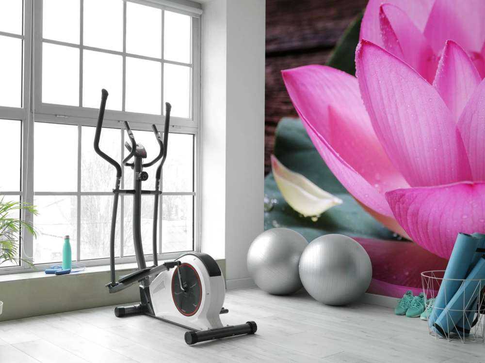 Zbliżenie różowy lotos