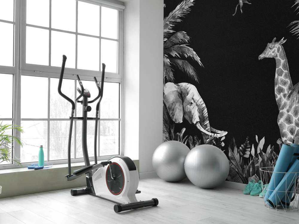 Czarno-białe zwierzęta z dżungli