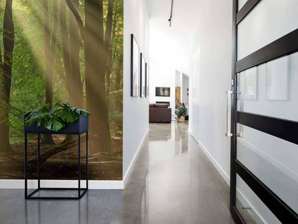 Harfy słoneczne w lesie