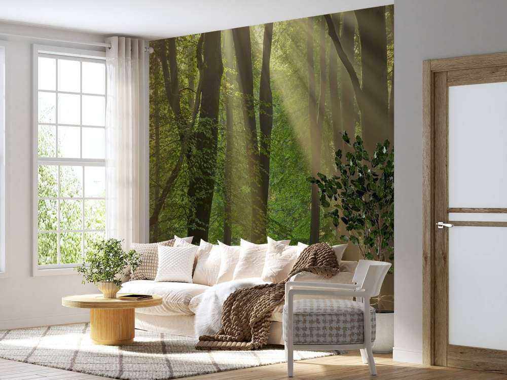 Harfy słoneczne w lesie