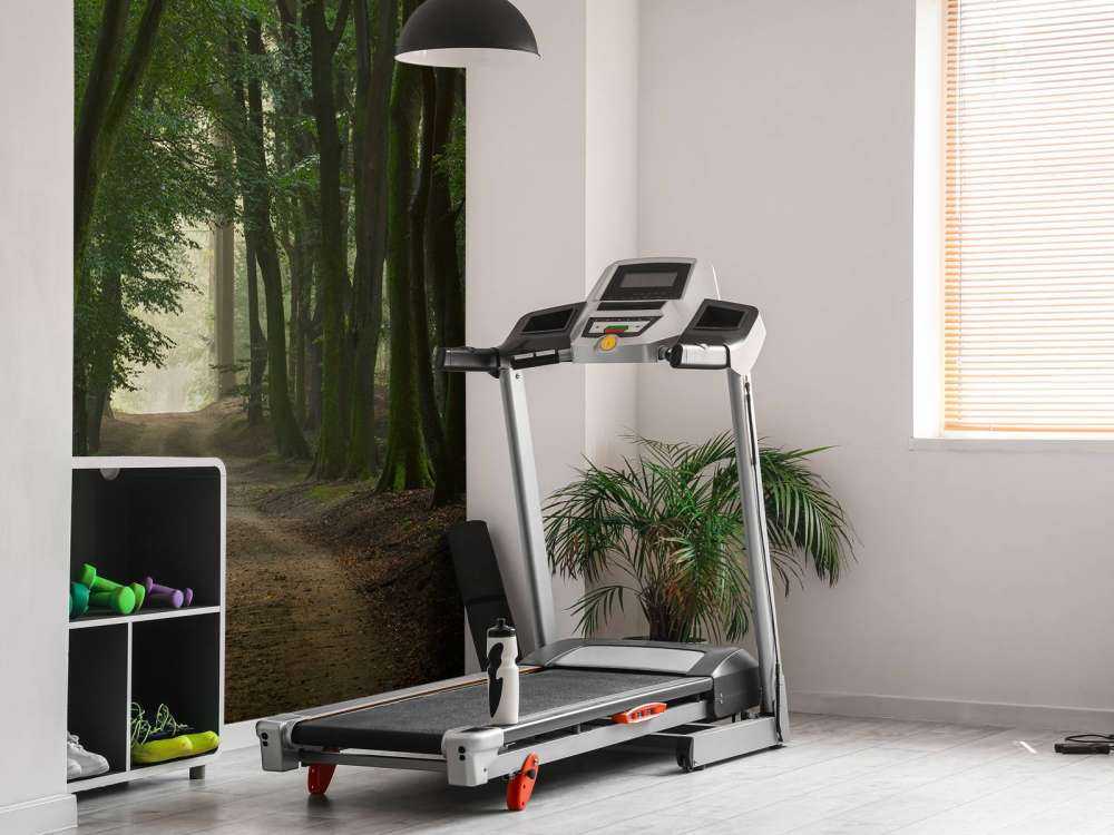 Droga piaskowa w lesie