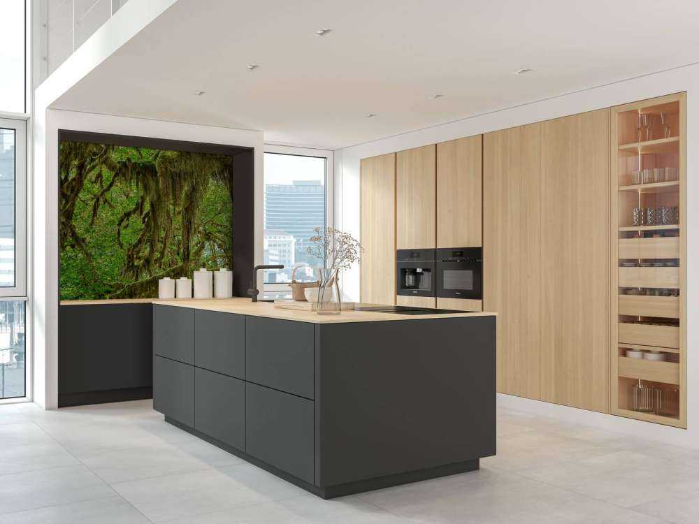 Mchy na gałęziach drzew