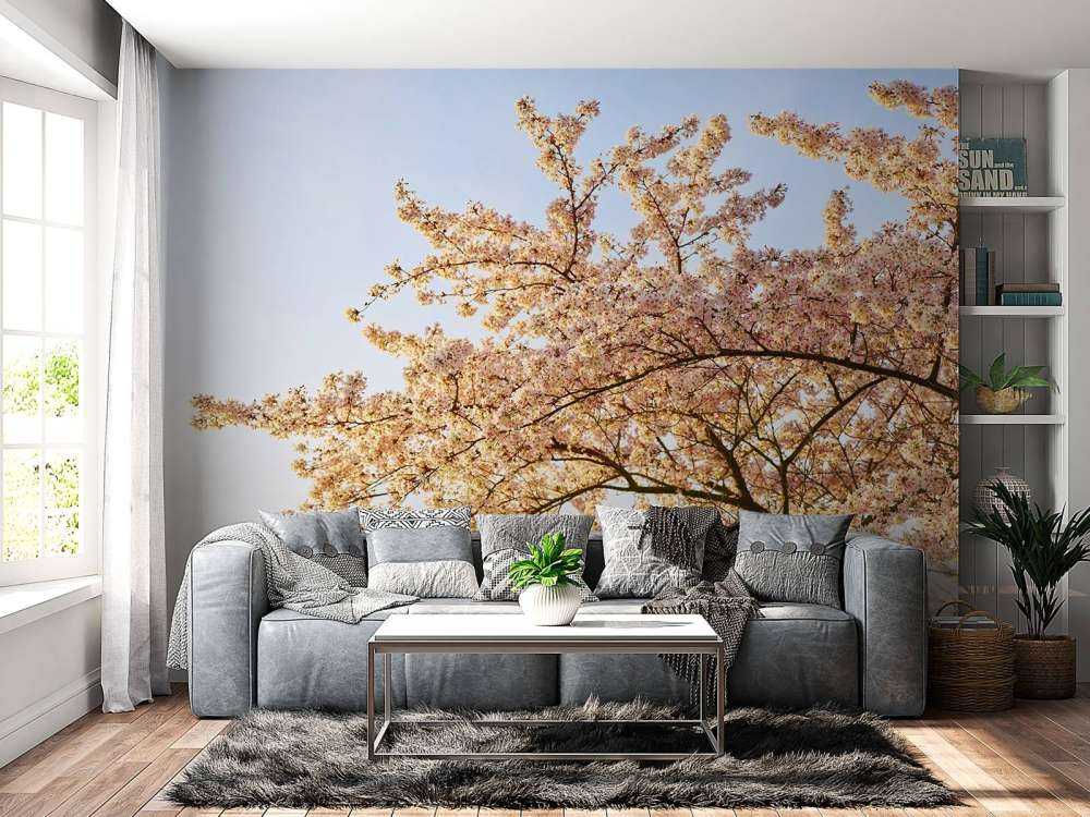 Gałąź kwitnąca w rozkwicie