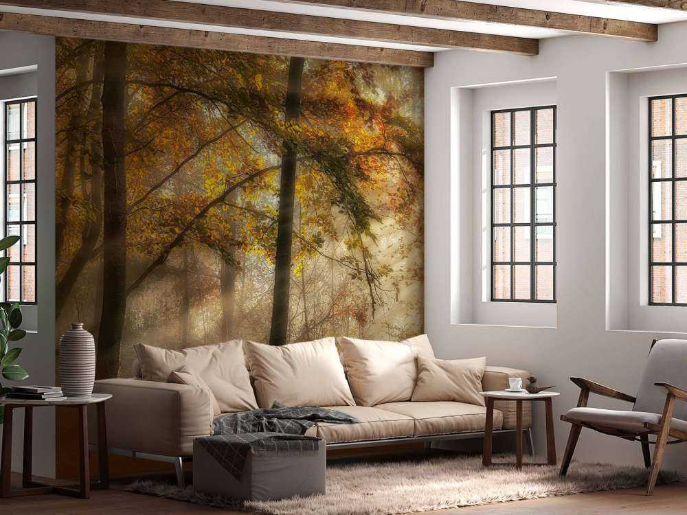 The lights of the forest