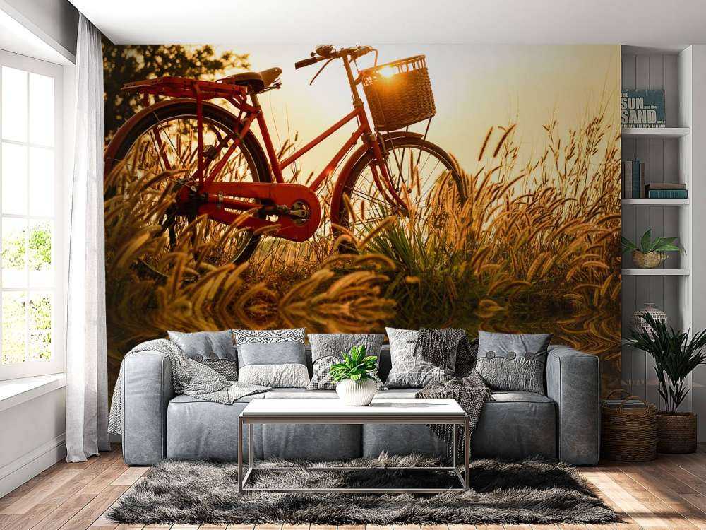 Rower na zachodzie słońca