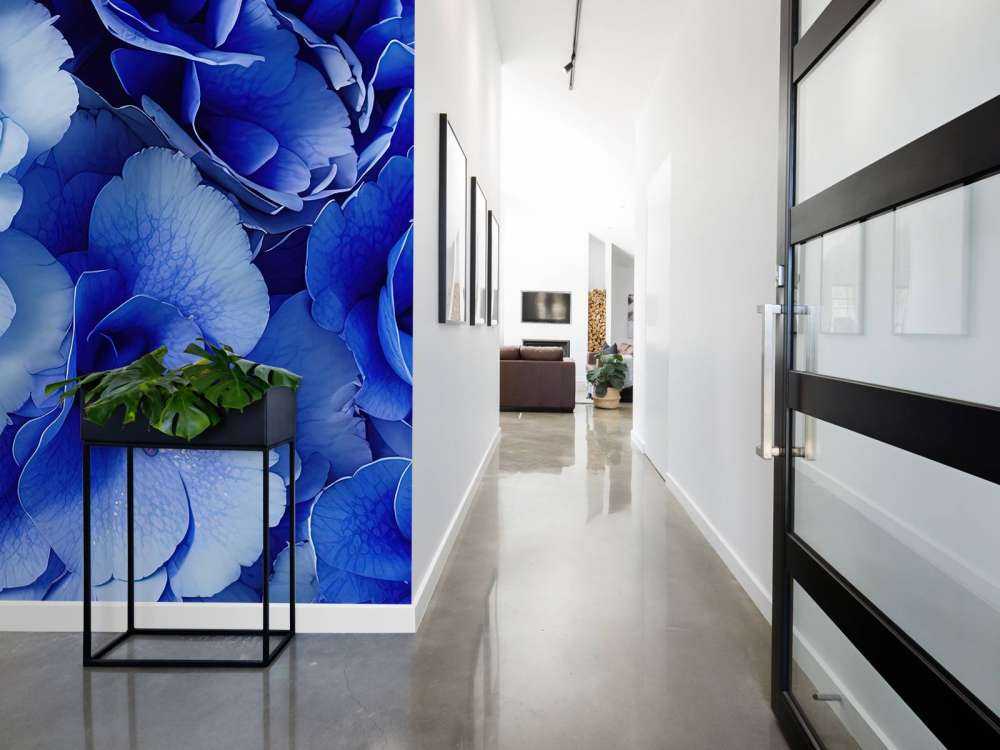 Zbliżenie na niebieskie hortensje