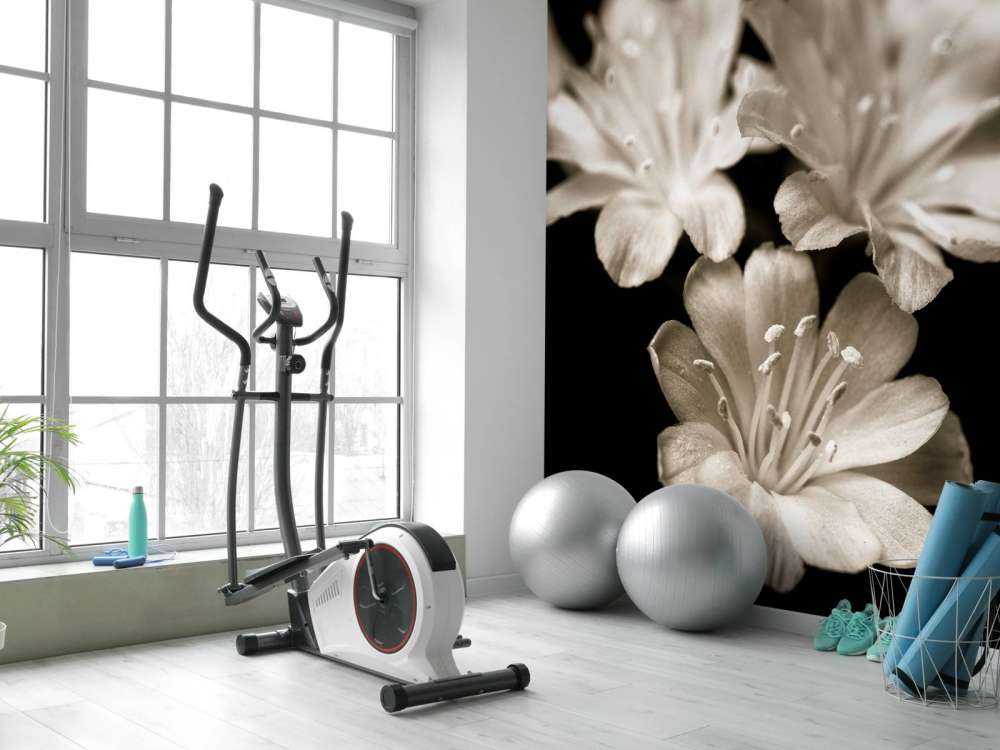 Zbliżenie na kwiat Lewisii