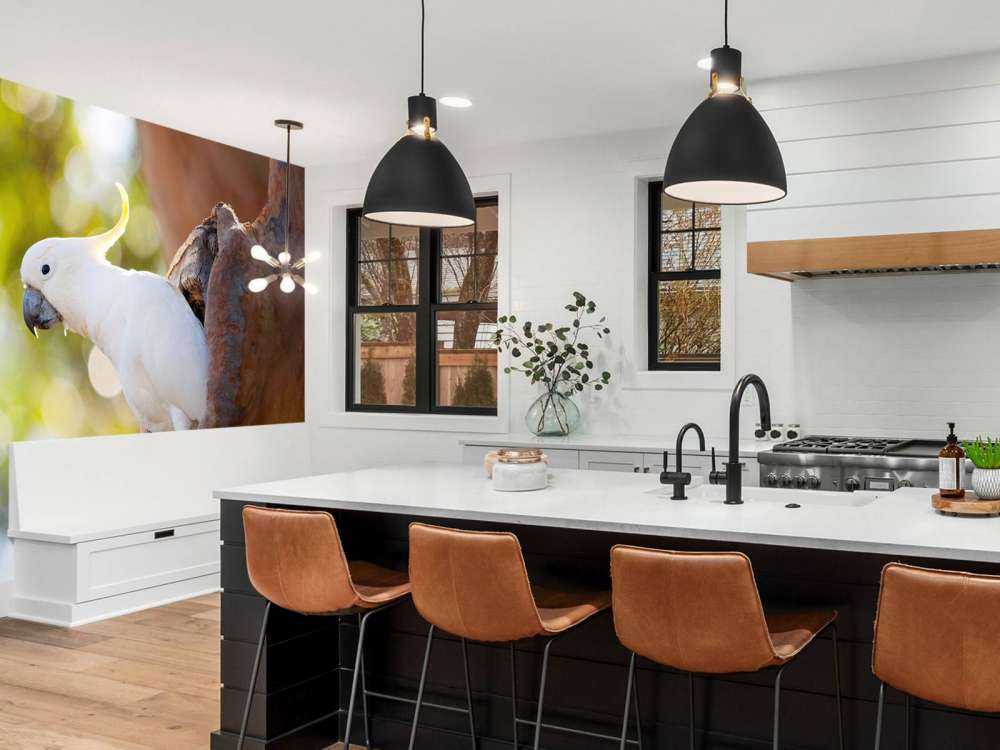 Kakadu w dziupli drzewa