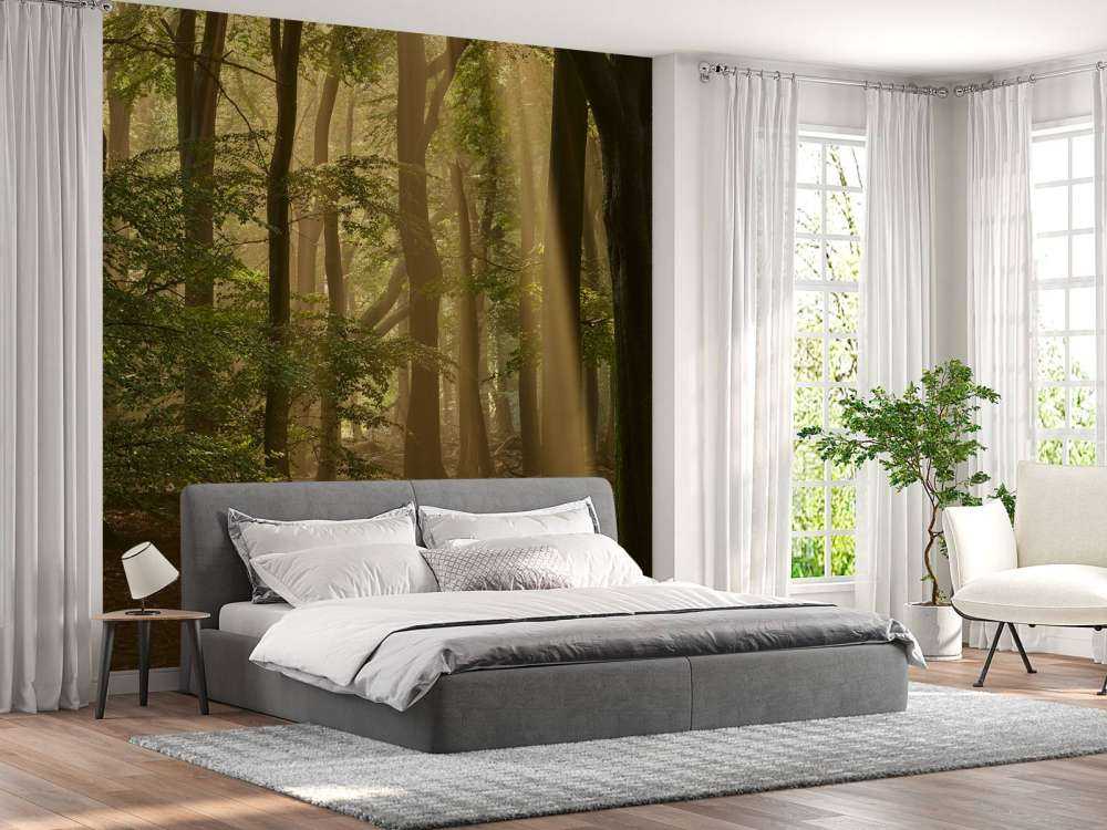 Stary las z osłonami przeciwsłonecznymi