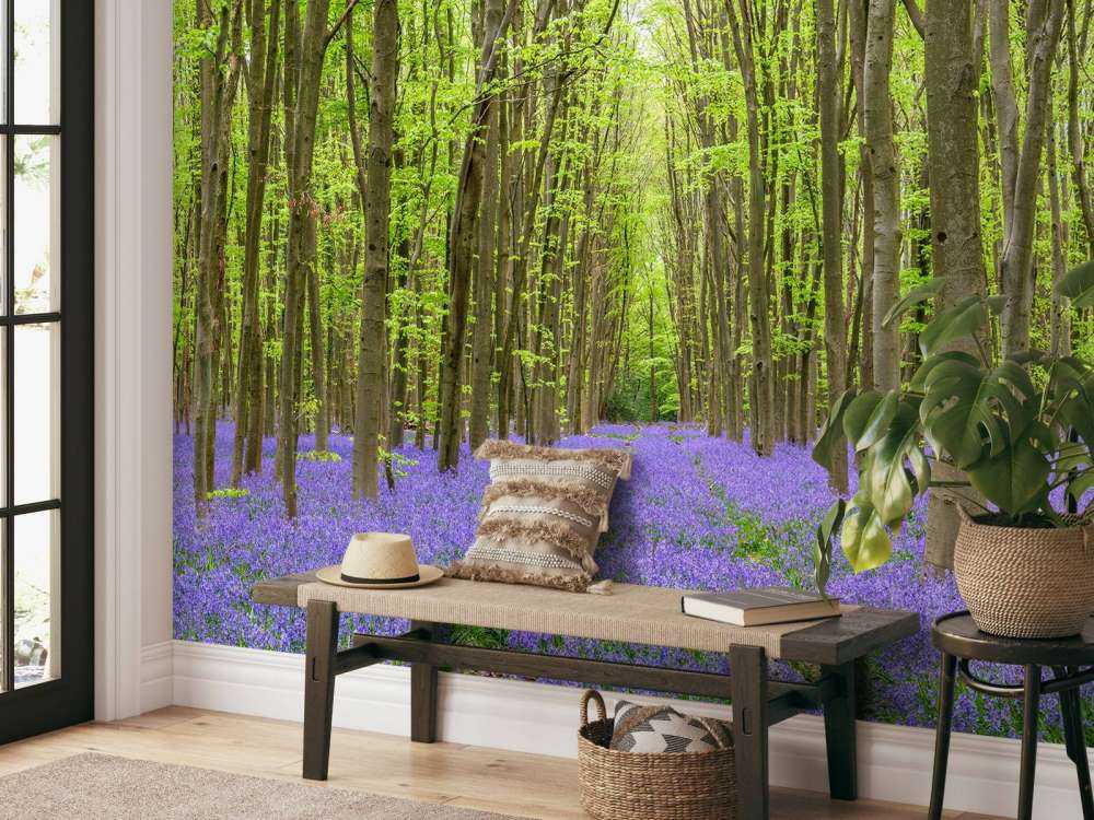 Ślady opon przez las