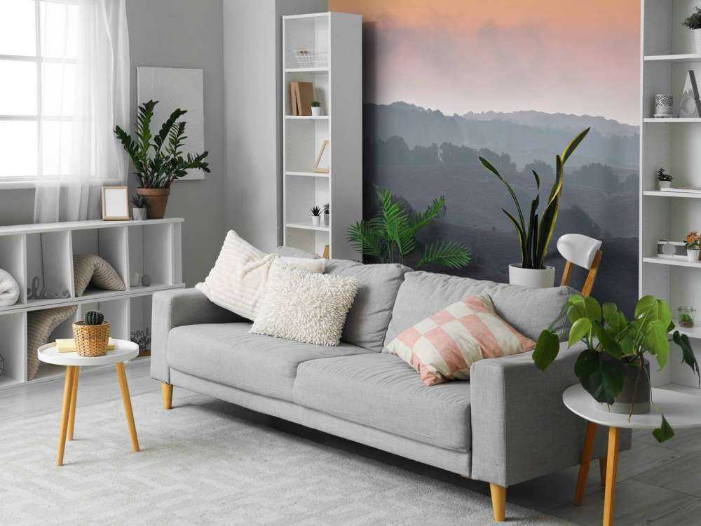 Mglisty wschód słońca na wrzosowisku