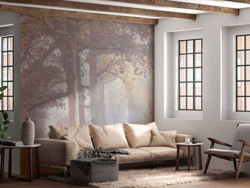 Zamglona droga z drzewami