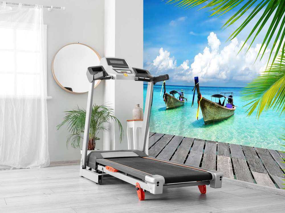 Łódź i drzewo palmowe