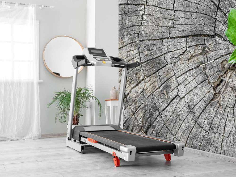 Średnica pnia drzewa 