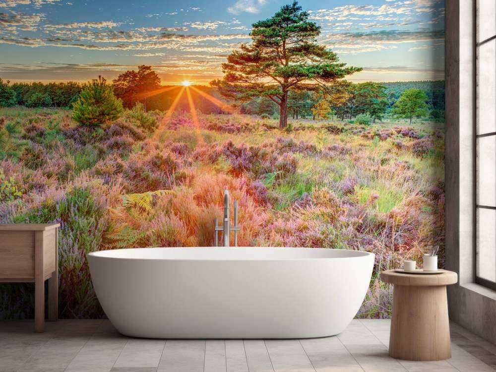 Zachód słońca na wsi