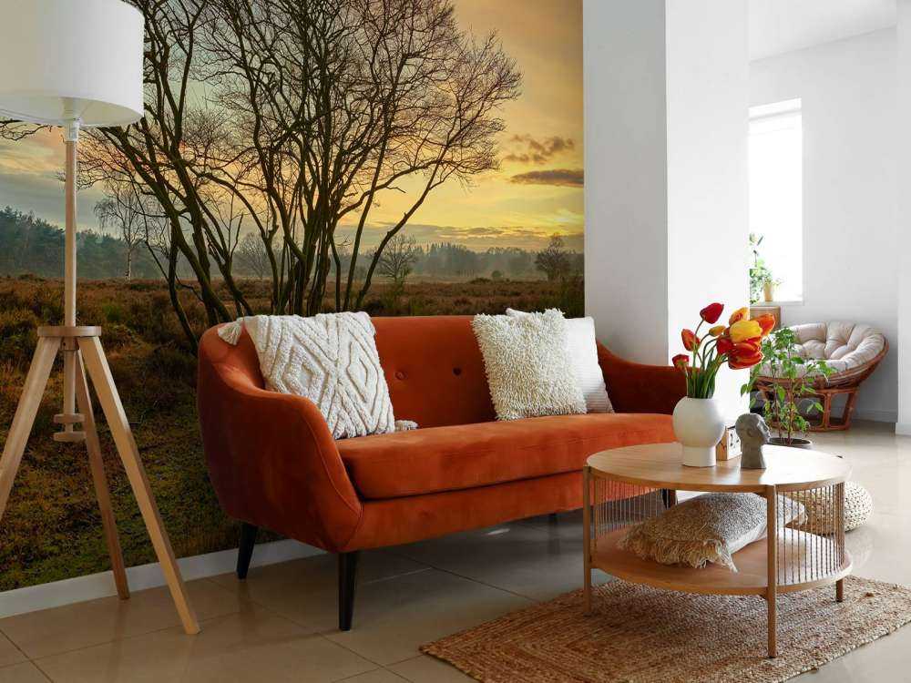 Wschód słońca na wrzosowisku