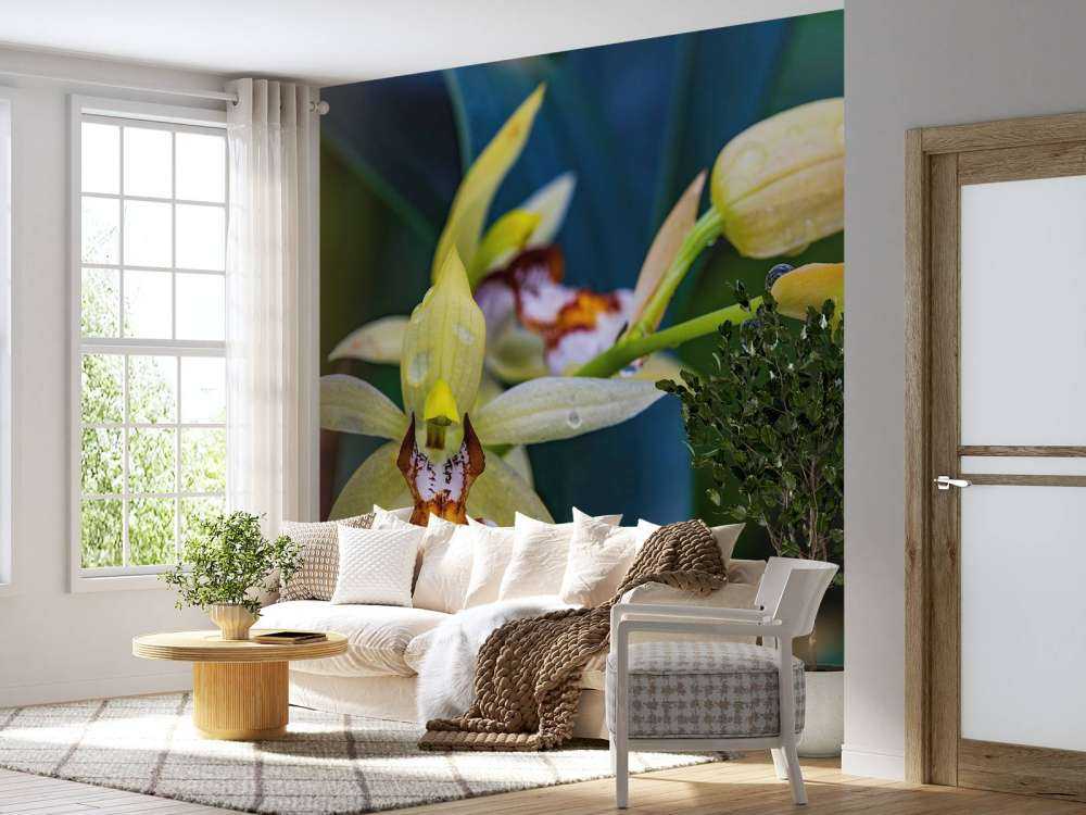 Dzika żółta orchidea