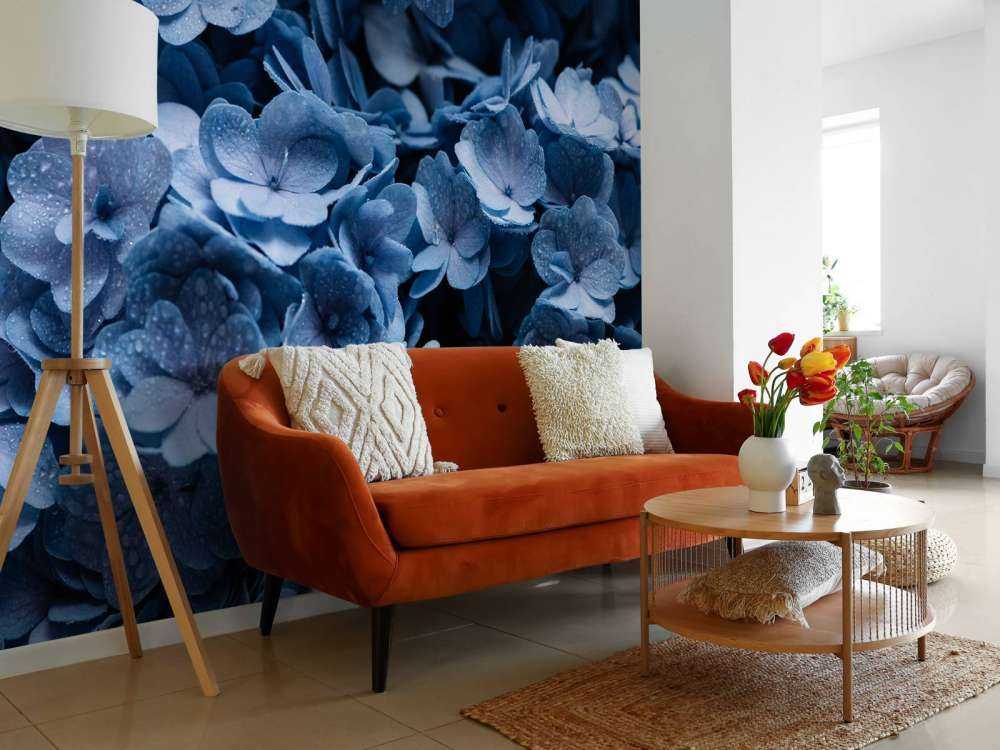 Błękitne hortensje w zbliżeniu