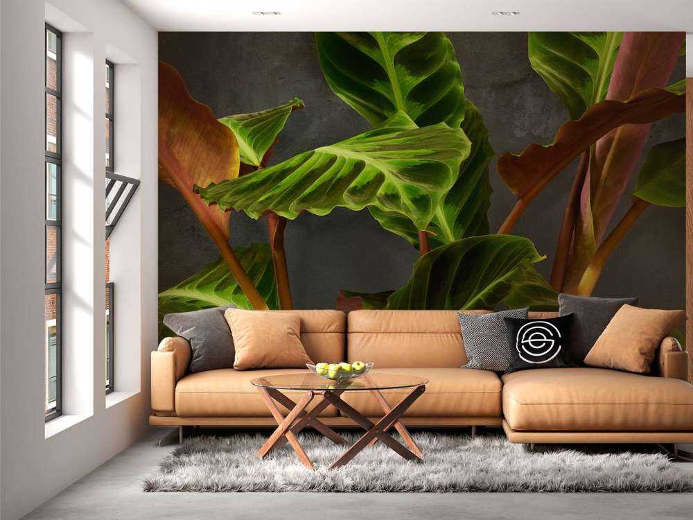 Roślina z pięknymi zielonymi liśćmi