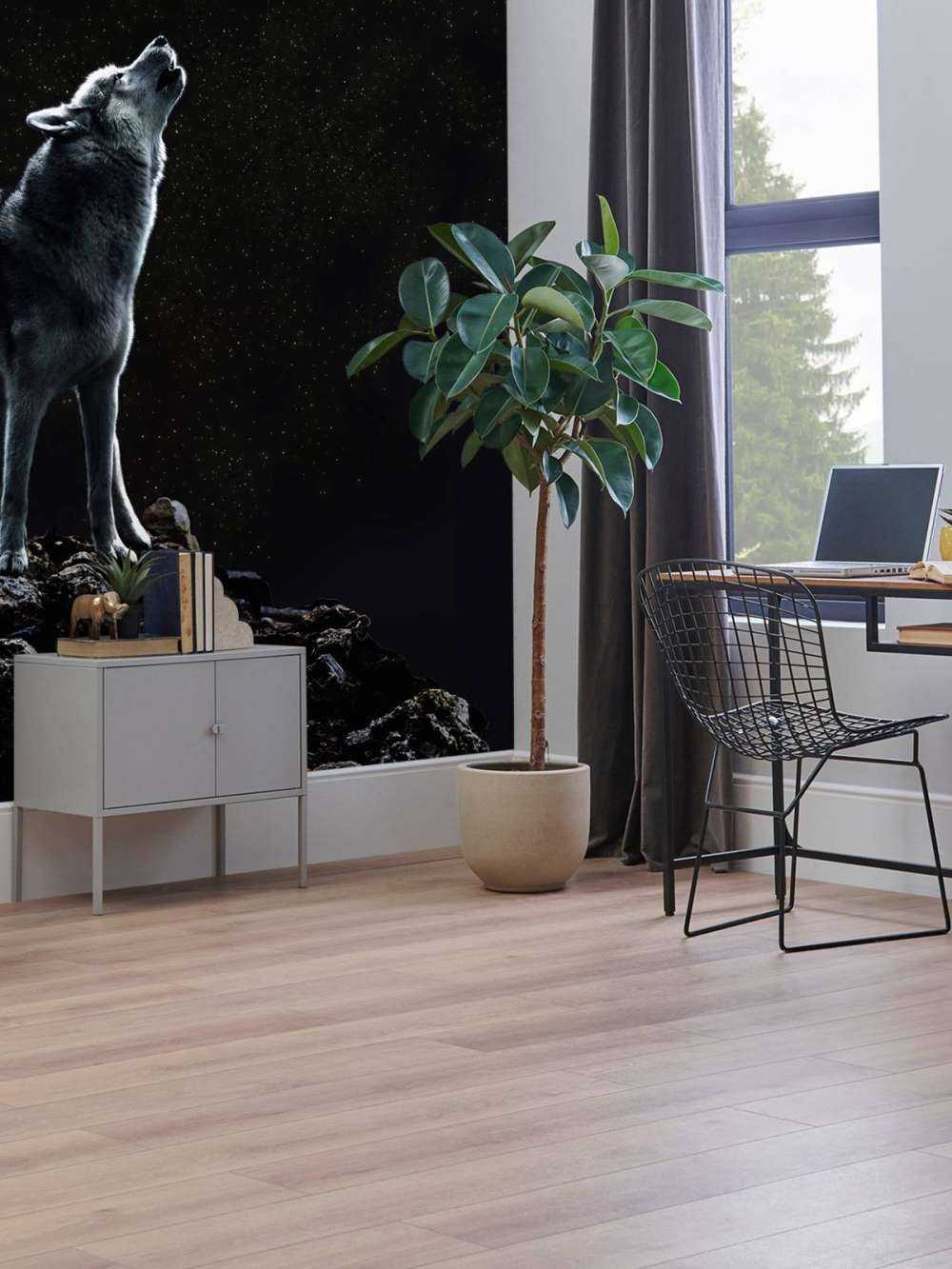 Księżyc wzywa samotnego strażnika