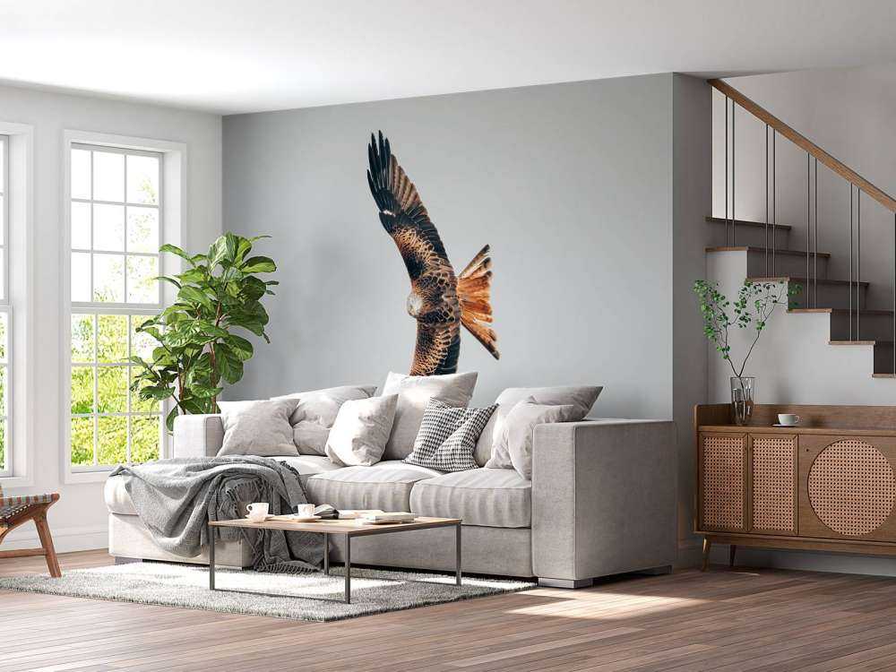 Czerwony latawiec z rozpostartymi skrzydłami