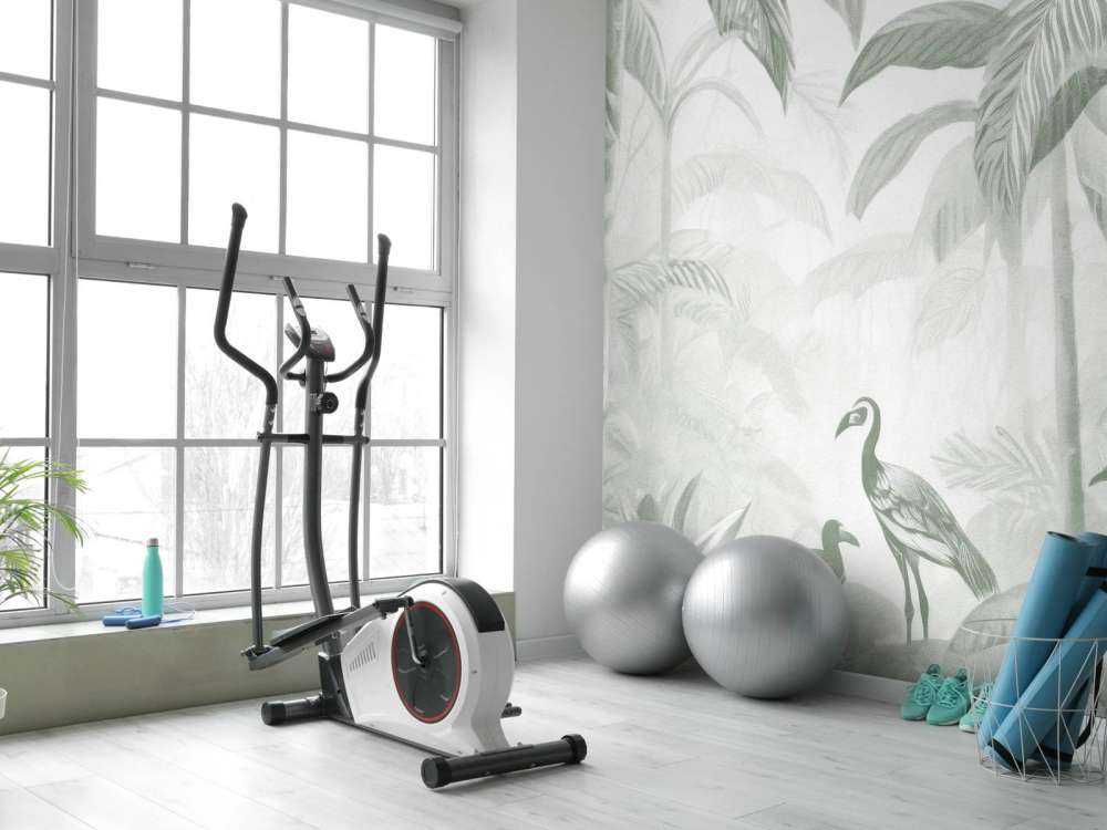 Ukryta Dżungla z Ibisem, zielony