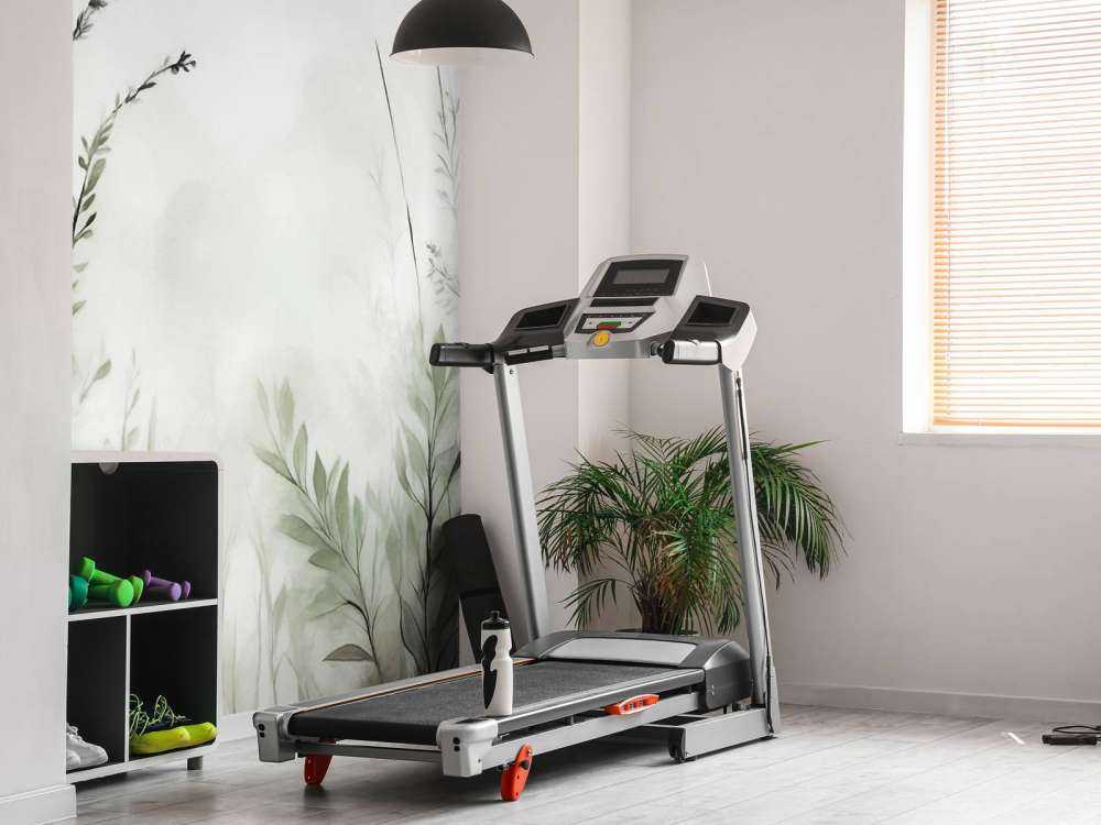 Ciche Marzenia Zielone