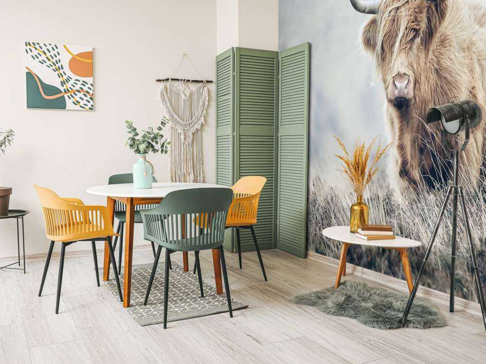 Szkocka rasa wyżynna w przyrodzie