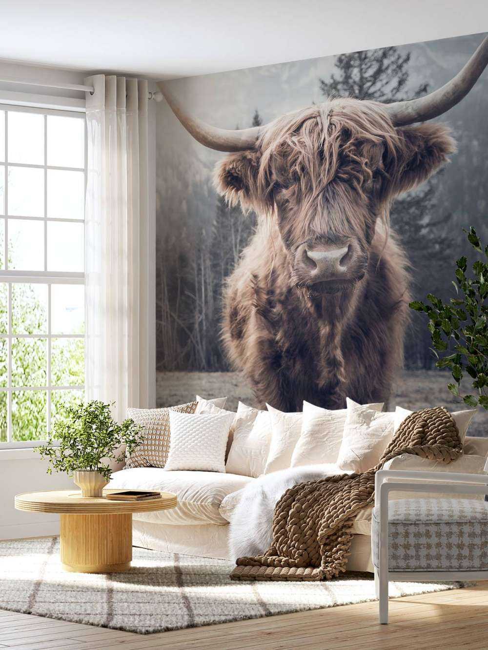 Szkocka rasa wyżynna przy lesie